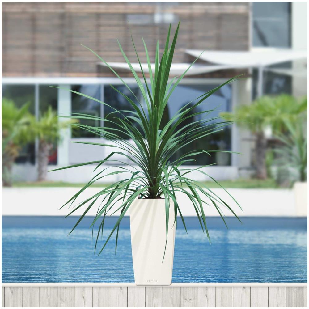 Fioriera Cubico Color 30 ALL-IN-ONE Bianco 13130 - Foto 2