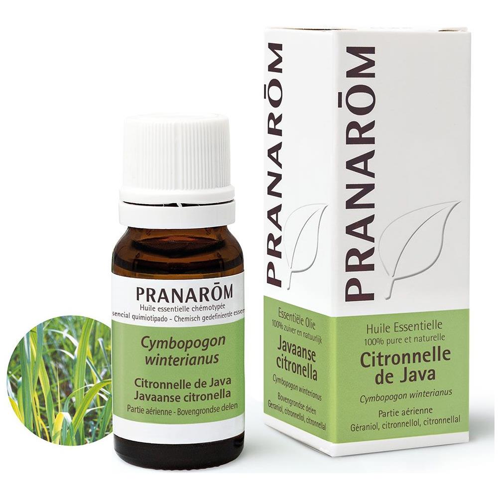 Olio Essenziale Di Citronella Di Giava 10ml Oli Essenziali - Foto 1