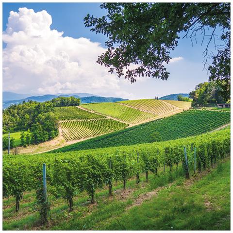 Immagine di  Cofanetto Regalo Coppia - Calici E Relax Nelloltrepò Pavese: 1 Notte In Agriturismo Con Degustazione In Cantina - Idee Regalo Originale