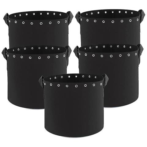 Sacchetti Ermetici Mylar Pack Di 5 Sacchetti Mylar Da 5 Galloni 2000cc Assorbitori Ossigeno N 1129126