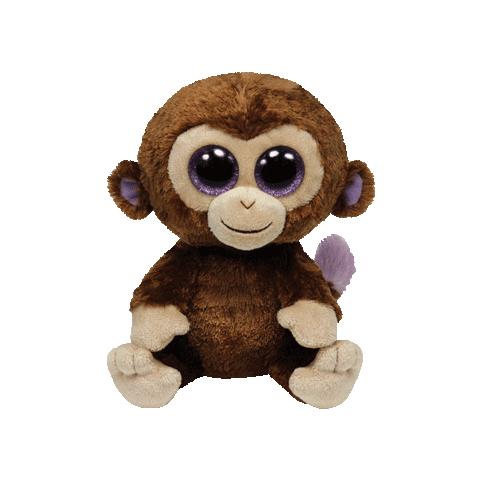 Image of Coconut, Marrone
