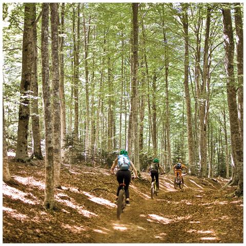 Image of Cofanetto Regalo - Esplorando Il Monte Amiata: Escursione Guidata In E-bike Per 2 Amanti Dellavventura - Idee Regalo Originale