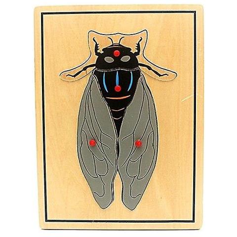 Image of (know) Giocattolo Per Bambini Bambini Montessori Scienza Giocattoli Animali Puzzle Per Bambini Legno Per La Prima Infanzia Educazione Preschool Training Learning