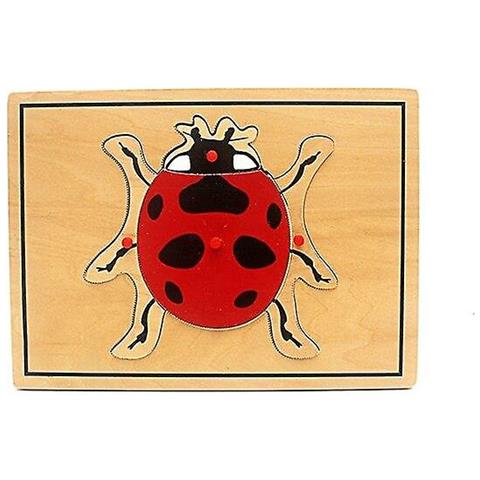 Image of (beetle) Giocattolo Per Bambini Bambini Montessori Scienza Giocattoli Animali Puzzle Per Bambini Legno Per La Prima Infanzia Educazione Preschool Training Learning