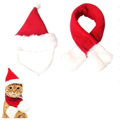 Costutto Di Catto Di Natale Catto Sangue Con Scarf Kitty Abbigliato Alla