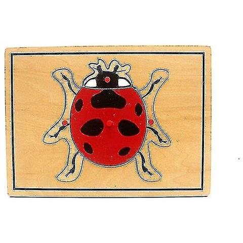 Image of (beetle) Baby Toy Kids Montessori Science Toys Animali Per Bambini Wood Per La Prima Infanzia
