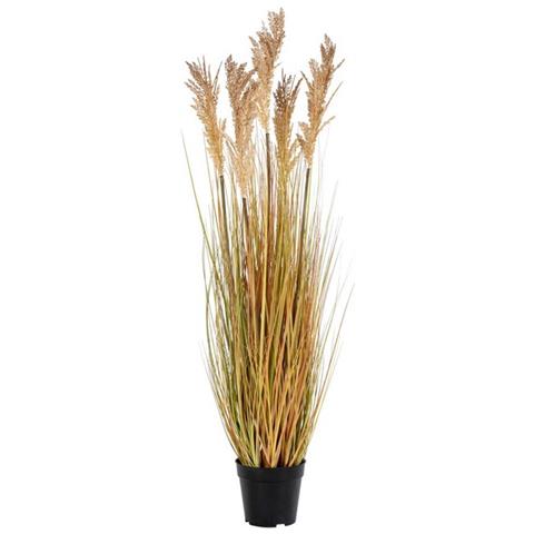 Pianta Artificiale Sorghum - Marrone - Polietilene - 35x30x110 Cm