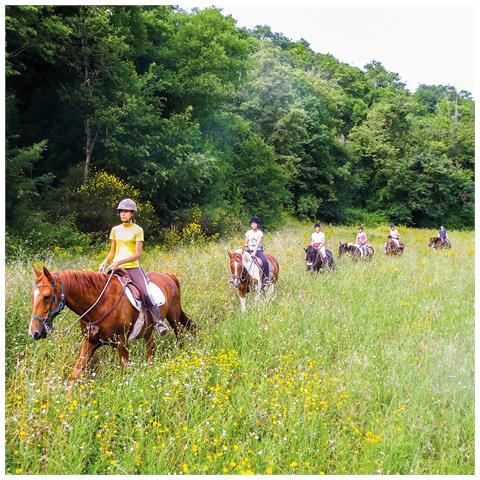 Image of Cofanetto Per Uomo - In Sella Per La Maremma: Esclusiva Passeggiata A Cavallo Di 2 Ore Per 2 Persone - Idee Regalo Originale Per Lui