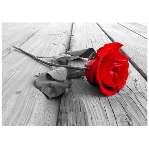 Una immagine