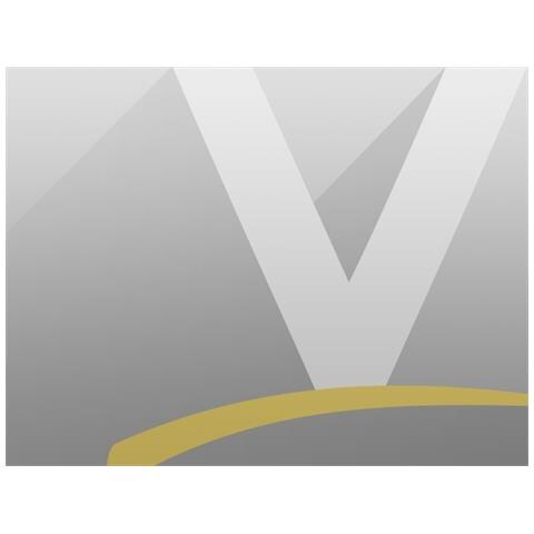 PYRAMID INTERNATIONAL Bttf License Plate Keyring Portachiavi