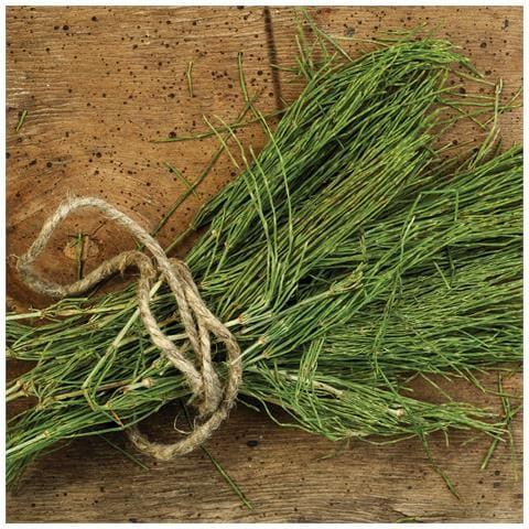 Image of Cofanetto Regalo Coppia - Alla Scoperta Delle Erbe Officinali: Escursione Guidata Sul Monte Amiata Per 2 Persone - Idee Regalo Originale